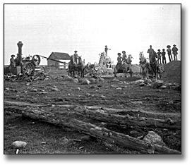 Photographie : Farming scene (removing rocks from ground?), Eastern Ontario, [entre 1895 et 1910]