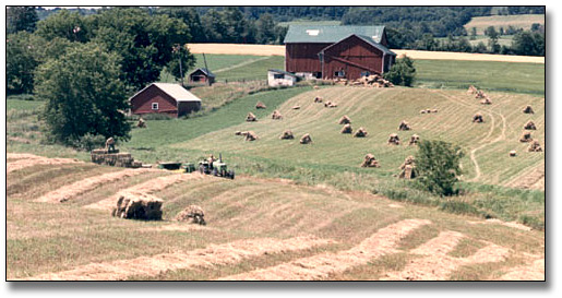 Photographie : Farmer harvesting hay, 1985