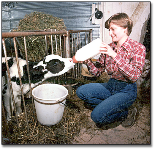Photo: Woman bottle feeding a newly born calf, Kitchener, March 22, 1983