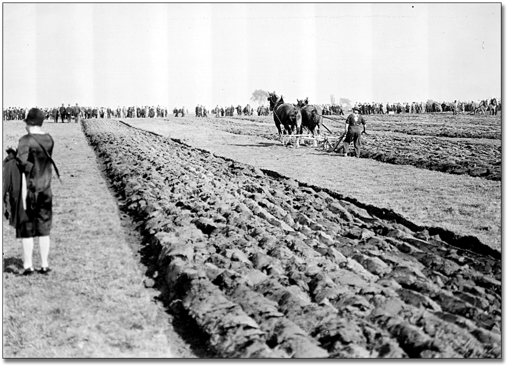 Photographie : Ploughing match in Ilderton, Ontario, [vers 1920]