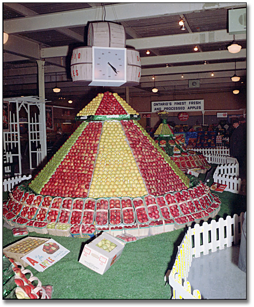 Photo: Ontario apple display at the Royal Agricultural Winter Fair, November 18, 1966