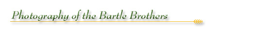 The Archives of Ontario Celebrates Our Agricultural Past: A Collection of Agricultural Images: Photography of the Bartle Brothers - Section Banner The Archives of Ontario Celebrates Our Agricultural Past: A Collection of Agricultural Images: Photography of the Bartle Brothers - Section Banner