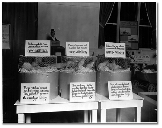 Photographie : Atelier sur la nutrition mettant en vedette des rats, Exposition nationale canadienne, Toronto, 1928
