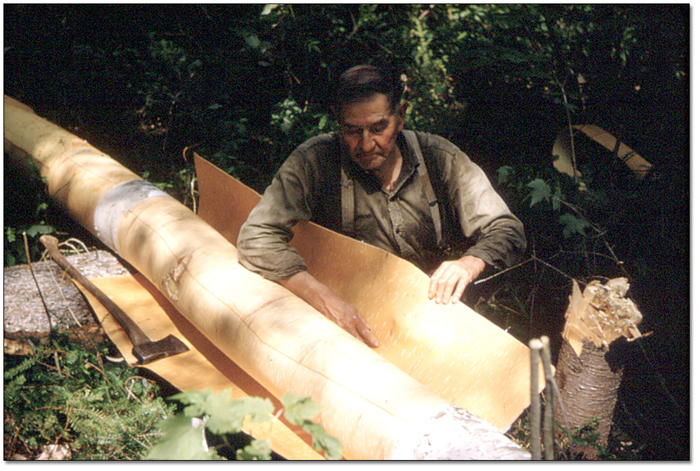 Photo: William Moore peeling white birch bark from a felled tree, to be used for baskets, 1958 