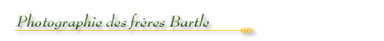 Les Archives publiques de l’Ontario célèbrent notre histoire agricole : Photographie des frères Bartle - bannière Les Archives publiques de l’Ontario célèbrent notre histoire agricole : Photographie des frères Bartle - bannière