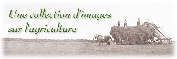 Les Archives publiques de l&#8217;Ontario c&eacute;l&egrave;brent notre histoire agricole : Une collection d'images sur l'agriculture - bannière