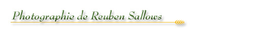 Les Archives publiques de l’Ontario célèbrent notre histoire agricole : Photographie de Reuben Sallows - bannière Les Archives publiques de l’Ontario célèbrent notre histoire agricole : Photographie de Reuben Sallows - bannière