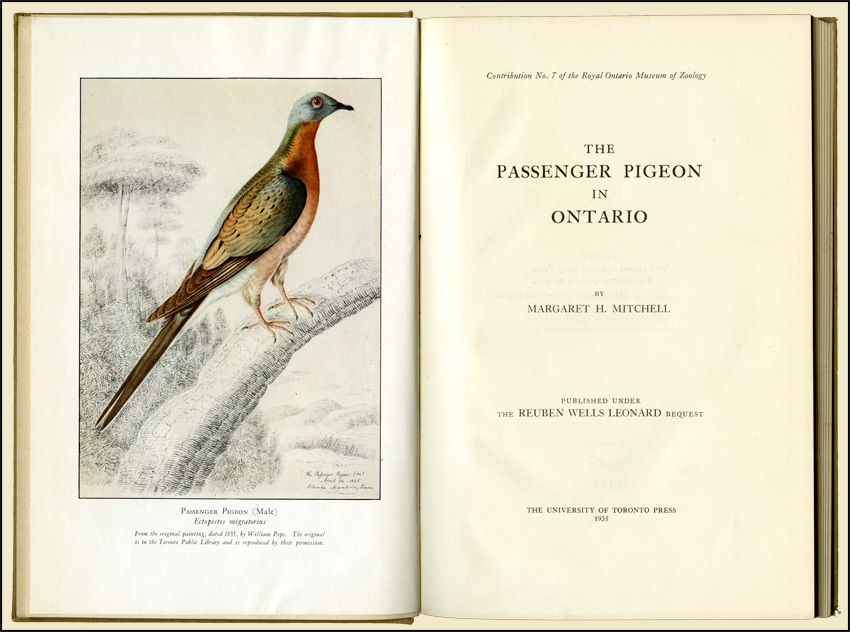 Front pages of Margaret H. Mitchell,<em> The Passenger Pigeon in Ontario</em>, 1935<br />
  598.2 Mit<br />
  Archives of Ontario Library Collection, I0073963