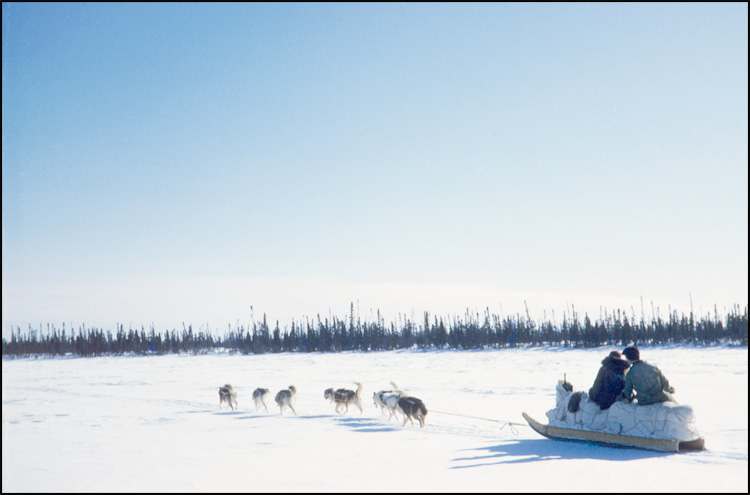 Moses Koostachin and Father Gagnon with dog sled team led by Jumbo, crossing pond in muskeg between Weenusk and Hawley Lake, Ontario, February 1955 