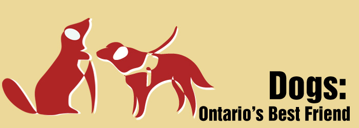 Dogs: Ontario’s Best Friend banner
