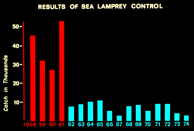 Results of Sea Lamprey Control, slide from Bringing Back The Great Lakes Fishery