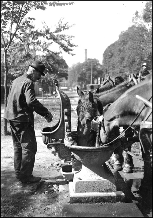 Horses taking drink at water fountain, Toronto, [ca. 1910s]