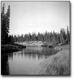 Black and white photograph of River Running Through a Pristine Wilderness Area