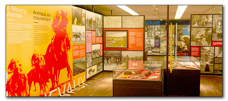 View of Gallery with On the Map Exhibit