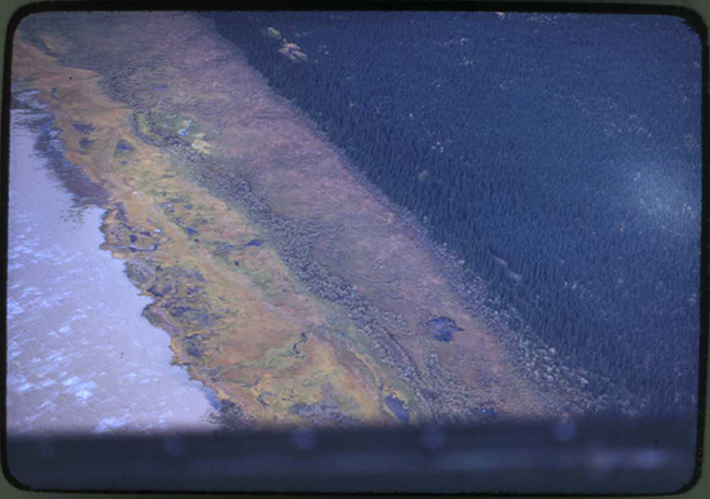 Rive de la baie James faisant face à l’île Akimiski, couverture végétale, changement climatique, 1946