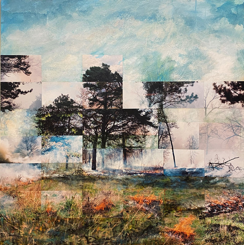 West of West Rd., High Park, 2014
Frances Patella
Mixed media, acrylic paint and photography on wood panel
36 x36”
Government of Ontario Art Collection, 101435