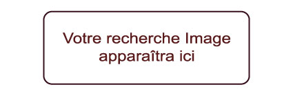 Inscrivez le numéro d’identification du soldat 